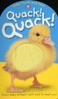 Baby Touch and  Feel: Quack! Quack!