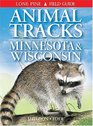 Animal Tracks of Minnesota  Wisconsin
