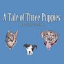 A Tale of Three Puppies