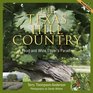 The Texas Hill Country A Food and Wine Lover's Paradise 2nd edition