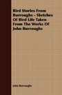 Bird Stories From Burroughs  Sketches Of Bird Life Taken From The Works Of John Burroughs