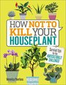 How Not to Kill Your Houseplant Survival Tips for the Horticulturally Challenged
