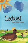 Gadwall King of the Ducks