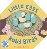 Little Eggs Baby Birds