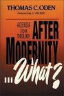 After modernity what Agenda for theology