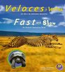 Veloces y lentos/Fast and Slow Un libro de animales opuestos/An Animal Opposites Book