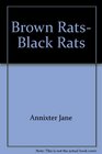 Brown rats black rats