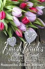 Amish Brides of Willow Creek Sibling Rivalry Book One