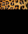 Dictators' Homes