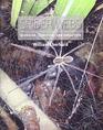 Spider Webs Behavior Function and Evolution