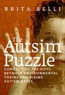 The Autism Puzzle Connecting the Dots Between Environmental Toxins and Rising Autism Rates