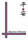 Secret Moves: Tang Soo Do (Ho Sin Sul) a Practical Guide to the Pyung Ahn Forms