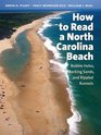 How to Read a North Carolina Beach Bubble Holes Barking Sands and Rippled Runnels