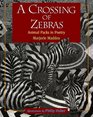 A Crossing of Zebras Animal Packs in Poetry