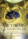 Victorian Glassworlds Glass Culture and the Imagination 18301880