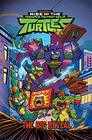 Rise of the Teenage Mutant Ninja Turtles The Big Reveal