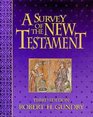 A Survey of the New Testament