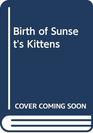 Birth of Sunset's Kittens