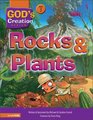 Rocks  Plants