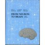 From Neuron to Brain A Cellular and Molecular Approach to the Function of the Nervous System