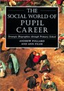 The Social World of Pupil Career Strategic Biographies Through Primary School