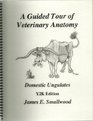 A Guided Tour of Veterinary Anatomy Domestic Ungulates
