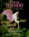 Dancing Feathers Photographs  Reflections of Wading Birds from Southern Swamps Ponds and Rookeries