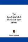 The Rosebush Of A Thousand Years