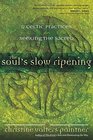 The Soul?s Slow Ripening: 12 Celtic Practices for Seeking the Sacred