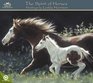 Leslie Harrison's The Spirit of Horses 2010 Wall Calendar