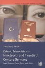 Ethnic Minorities in Nineteenth and Twentieth Century Germany Jews Gypsies Poles Turks and Others Themes in Modern German History