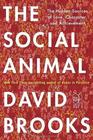 The Social Animal The Hidden Sources of Love Character and Achievement