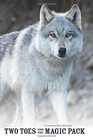 Two Toes and the Magic Pack A Story of Wolves and Humans