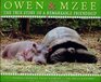 Owen  Mzee The True Story of a Remarkable Friendship