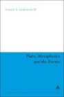 Plato Metaphysics and the Forms
