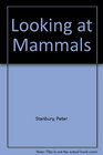 Looking at Mammals