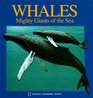 Whales Mighty Giants of the Sea