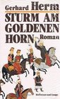 Sturm am Goldenen Horn Roman