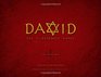 David The Illustrated Novel Vol 1