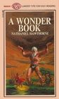 A Wonder Book (Larger Print)