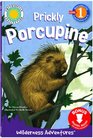 Prickly Porcupine