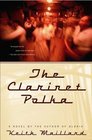 The Clarinet Polka  A Novel