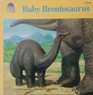 Baby Brontosaurus