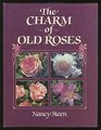 Charm of Old Roses