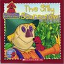 Silly Scarecrow (Clifford's Puppy Days)