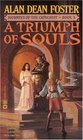 A Triumph of Souls (Journeys of the Catechist, Book 3)