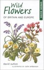 Green Guide Wild Flowers of Britain and Europe