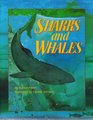 Sharks and whales