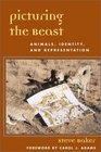 Picturing the Beast Animals Identity and Representation