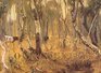 Our Country Australian Federation Landscapes 19001914